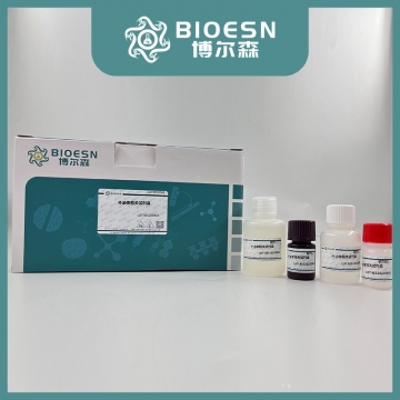 外泌体表面修饰试剂盒（SA-Biotin） BES2003AEXO