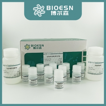 包涵体蛋白溶解及复性试剂盒  BES21411KB