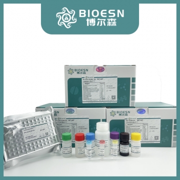 Human Albumin Elisa Kit BES6471K